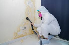 Best Mold Damage Restoration  in Sprague, WV